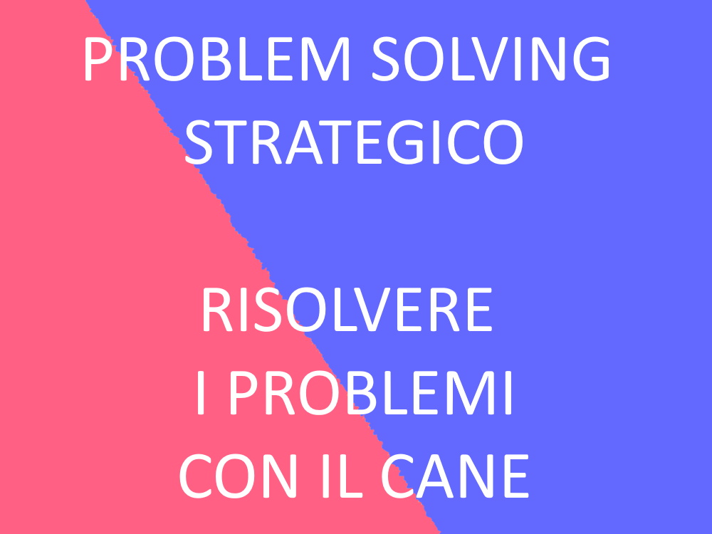 PROB SOLV