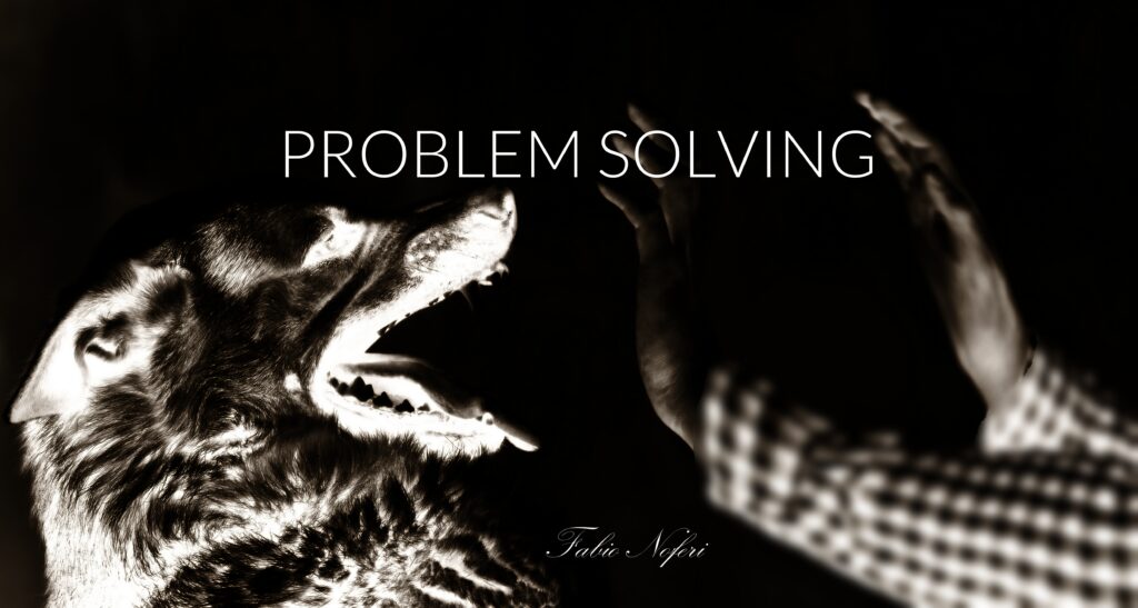 PROBLEM SOLVING