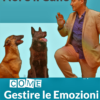 Consulenza e assistenza per 7 giorni - immagine 5