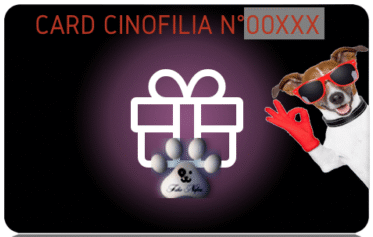 COCAINK Cartello In Lamiera Attenzione Carlino | 30x19 Cm | Regalo Per Amanti Dei Cani