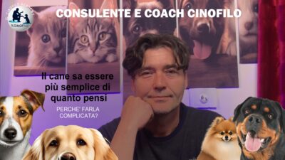 Consulenza e assistenza per obiettivo o problema comportamentale