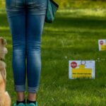 Rally Obedience Rally O