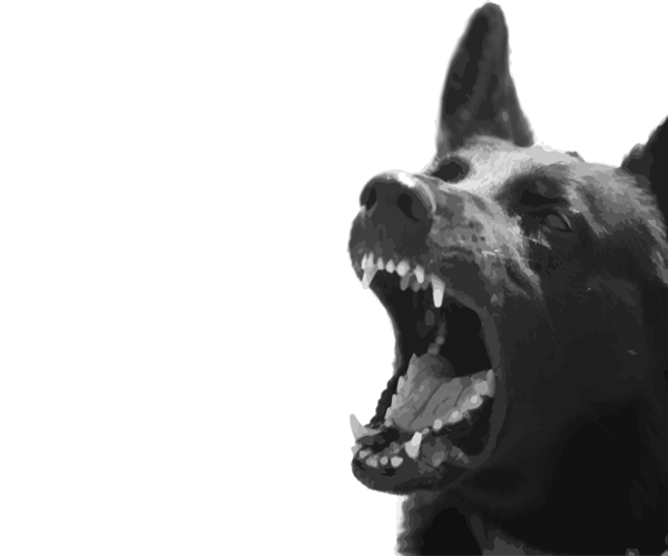 dog bite