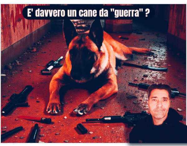 cane-da-guerra-ILCINOFILO-FABIO NOFERI