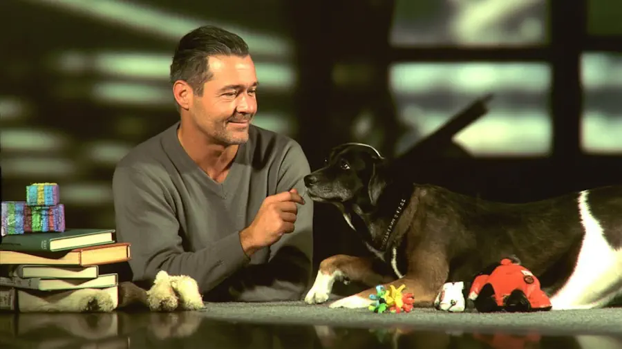 https://www.fabionoferi.it/wp-content/uploads/2025/09/fabio-dog-trainer-16.jpeg