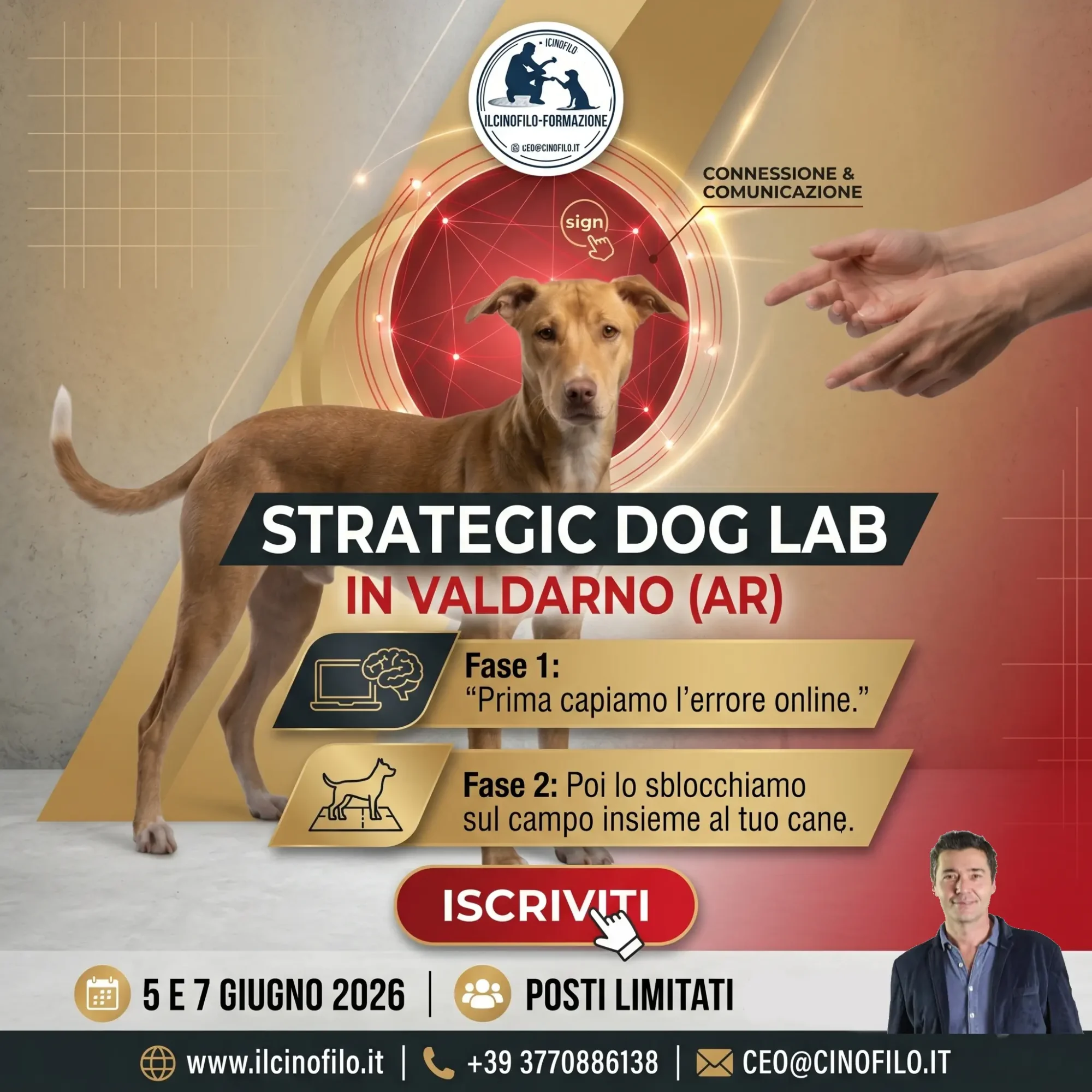 Strategic Lab 2 Strategic dog lab ilcinofilo fabio noferi cambiamenti nel cane