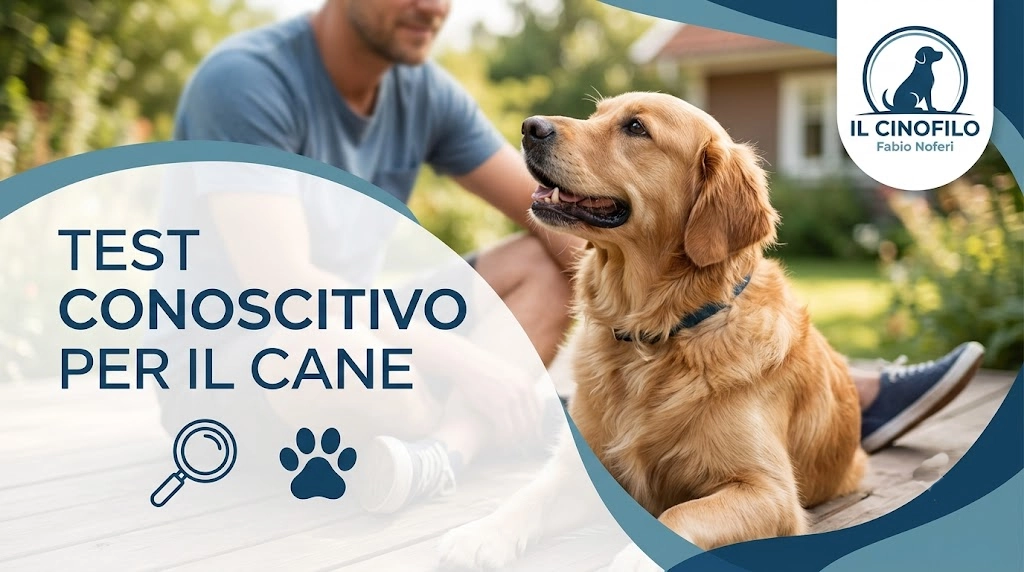 test conoscitivo per il cane fabio noferi2
