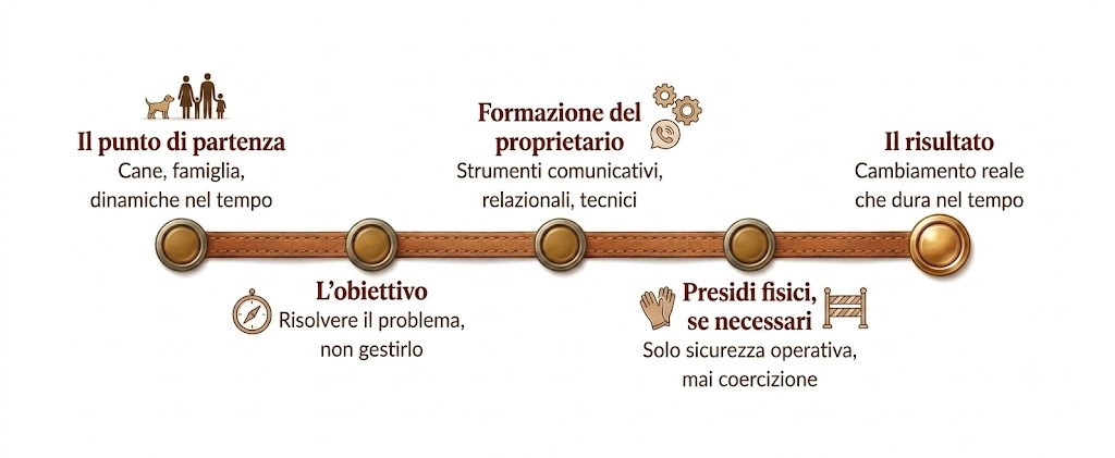 time line processo operativo educatore cinofilo counsel coach cinofilo